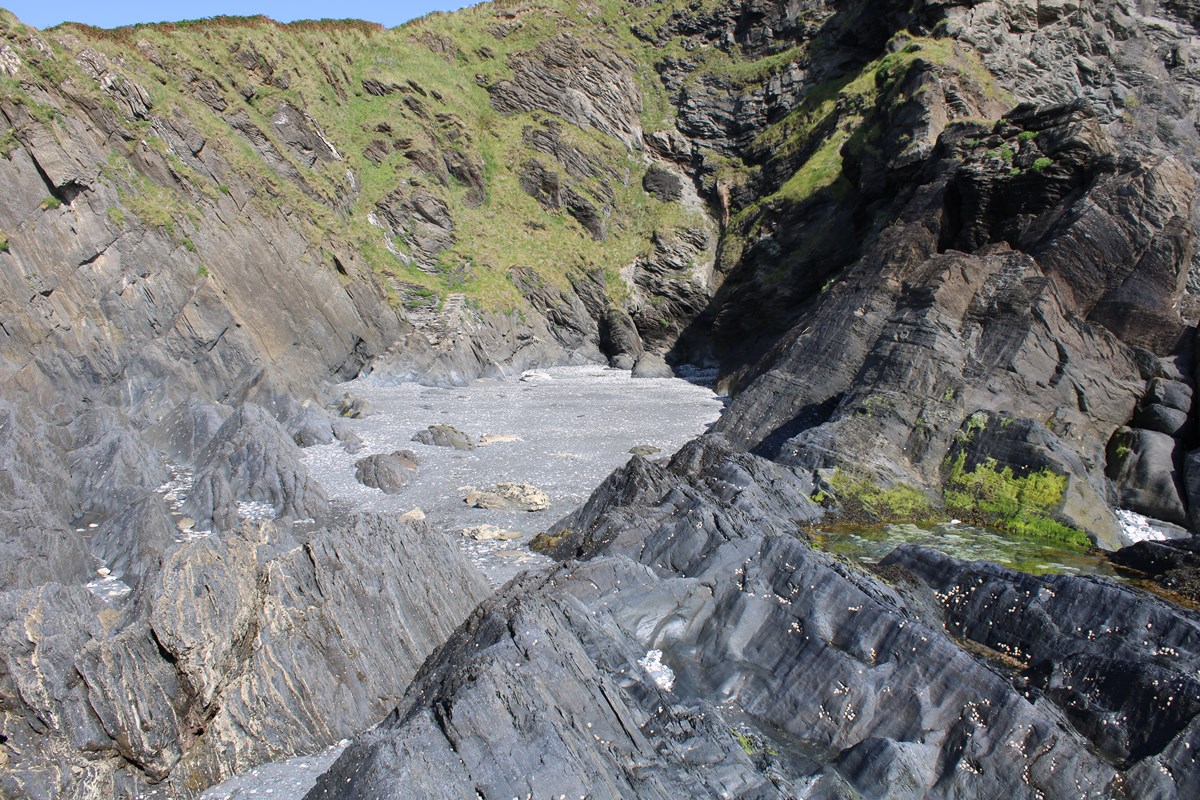 The first cove