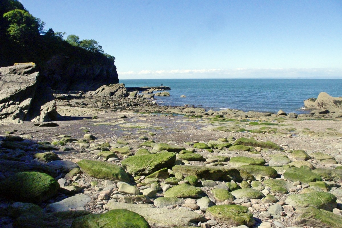 Looking down the beach