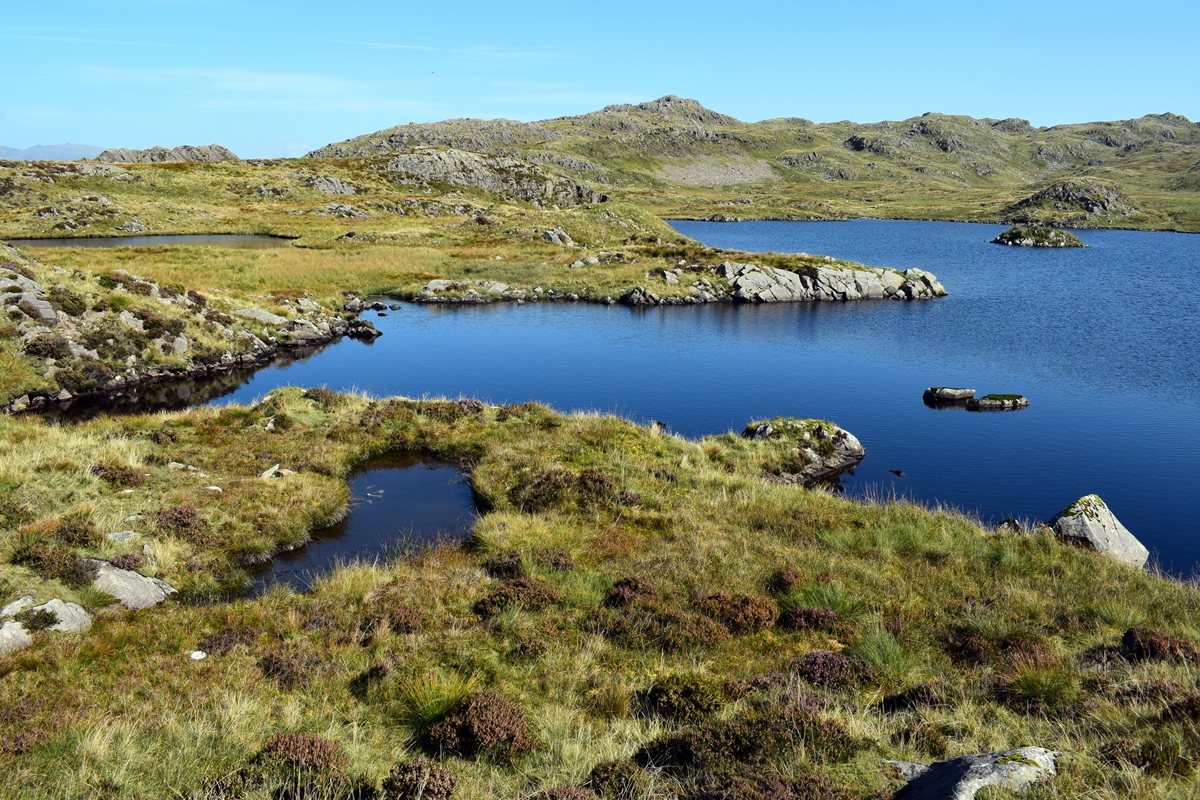 Inlets on the north side