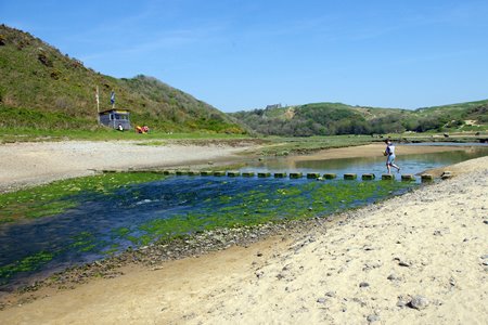 Pennard Pill