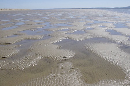 puddled sand