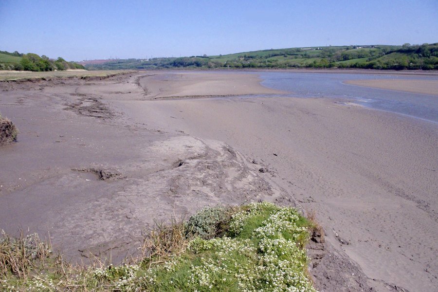 Towy estuary