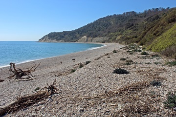 Charton Bay