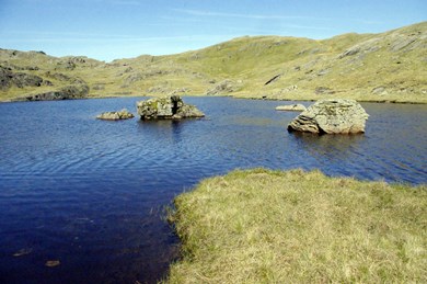 Llyn Cwm corsiog