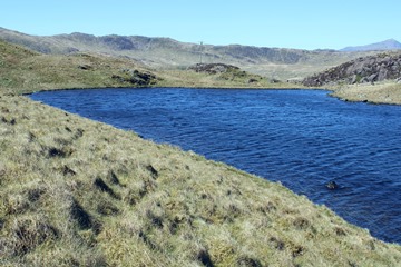 Llyn Dyrnogydd