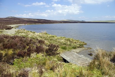 Glaslyn