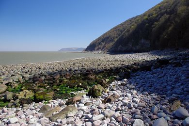 Glenthorne Beach