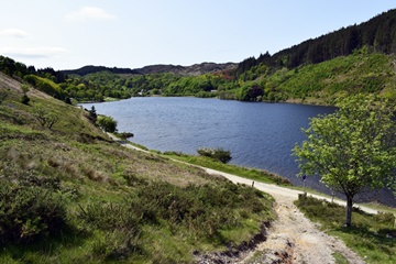 Llyn Geirionydd