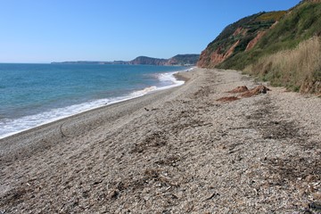 salcombe