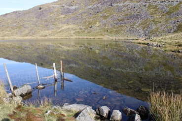 Llyn y Manod