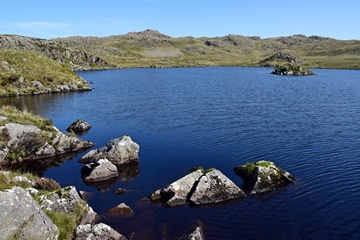 Llyn yr Adar